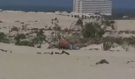 مکش عکس سکس دختر با دختر خوب