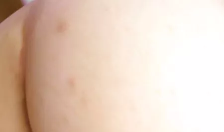 بیدمشک نزدیک عکس سکسی دختر با اسب